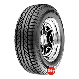TORNEL ASTRAL 225/60R16
