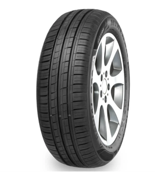 MINERVA 209 165/60R15
